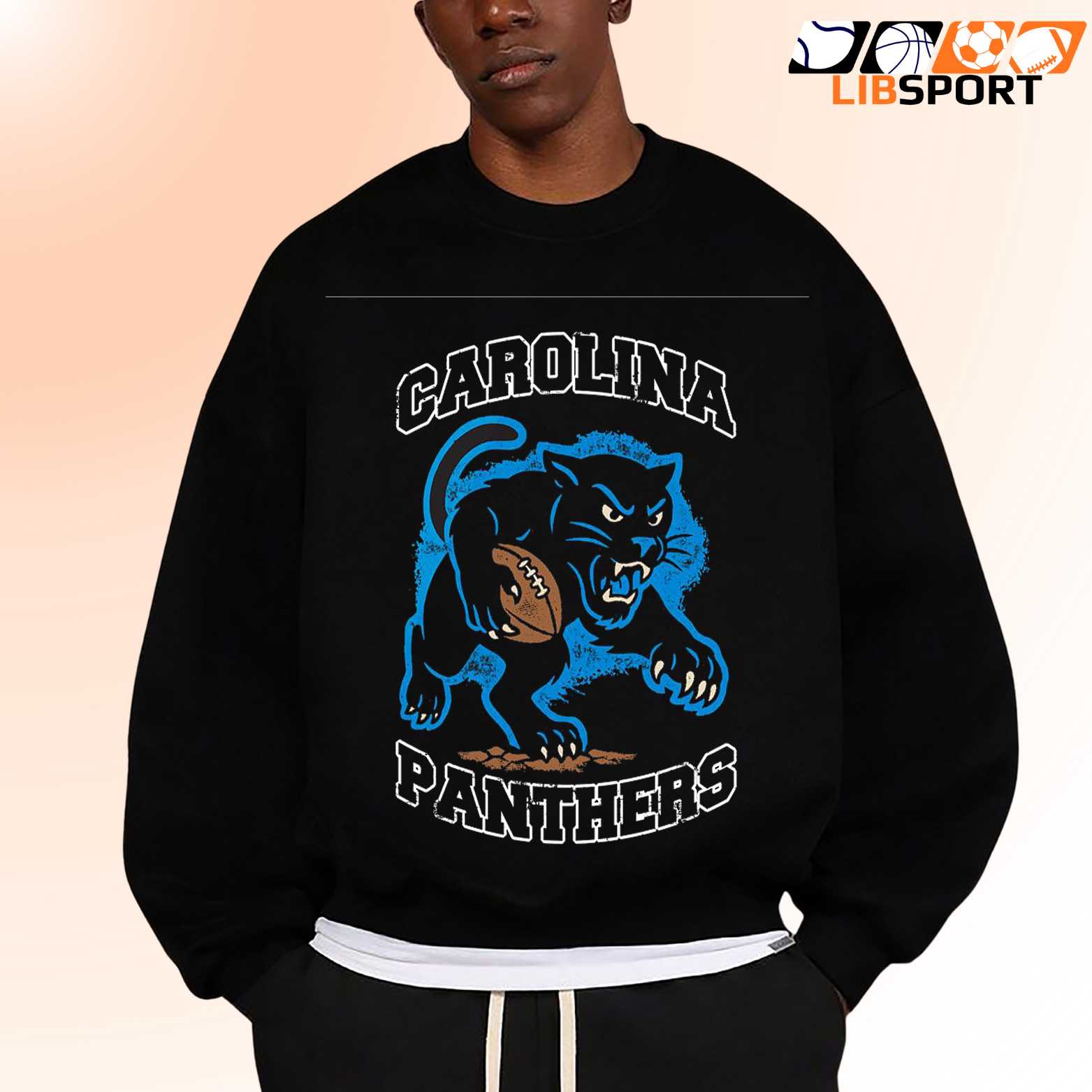 Panthers Carolina Fan Unisex Shirt, Nfl Game Day T Shirt